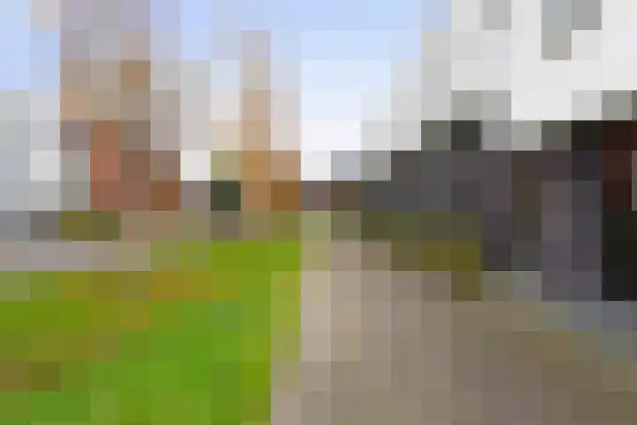 Vuurvlinder 146 Apeldoorn thumbnail 40