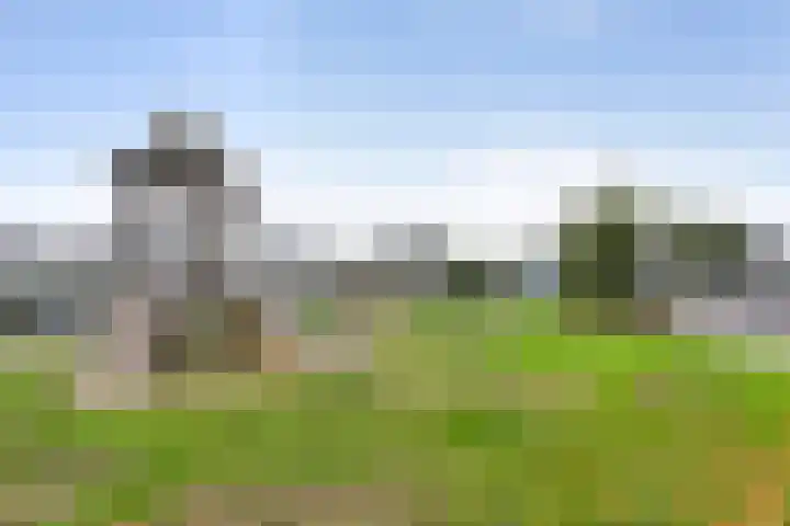 Vuurvlinder 146 Apeldoorn thumbnail 43