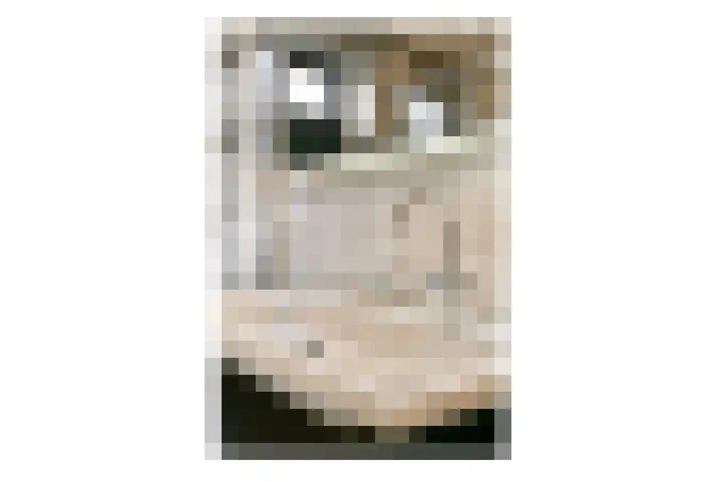 Vuurvlinder 15 's-Gravenzande thumbnail 15