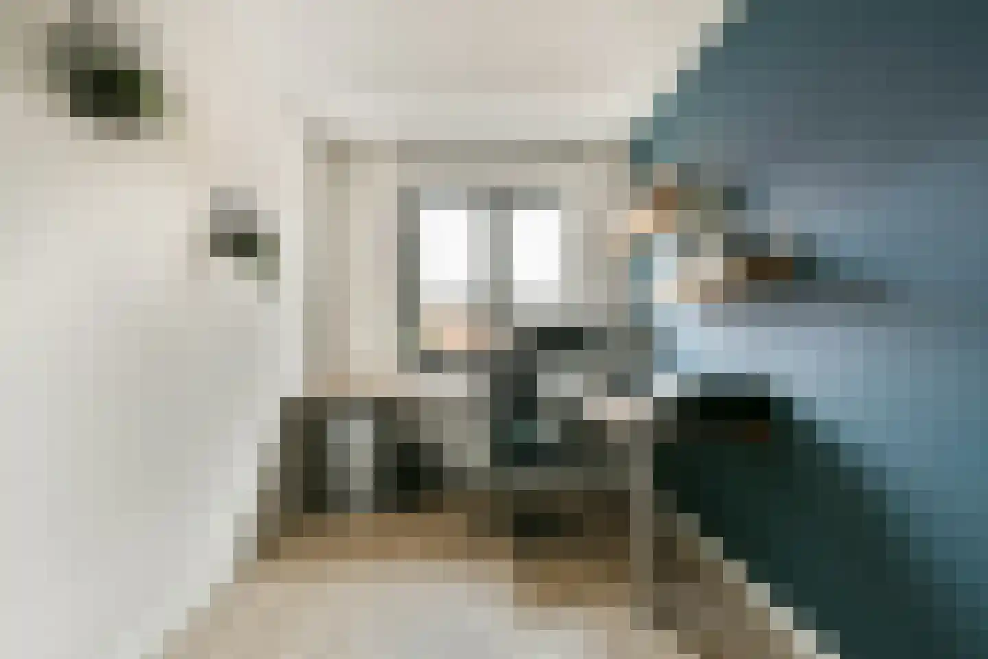 Vuurvlinder 15 's-Gravenzande thumbnail 16