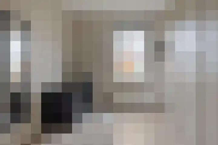 Vuurvlinder 16 Apeldoorn thumbnail 18