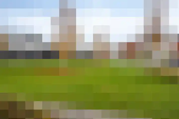 Vuurvlinder 16 Apeldoorn thumbnail 21