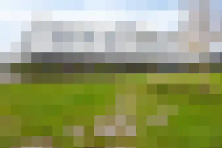 Vuurvlinder 16 Apeldoorn thumbnail 4