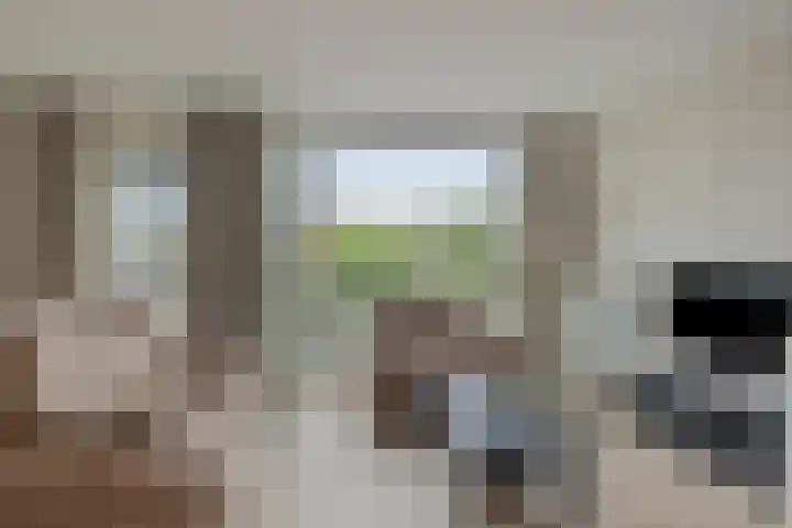 Vuurvlinder 16 Apeldoorn thumbnail 7