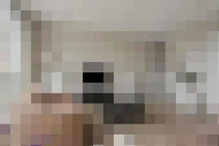 Vuurvlinder 16 Apeldoorn thumbnail 8