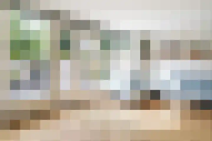 Vuurvlinder 16 Breda thumbnail 11