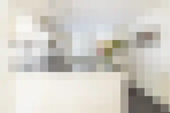 Vuurvlinder 16 Breda thumbnail 15