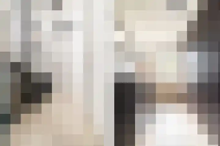 Vuurvlinder 16 Breda thumbnail 19