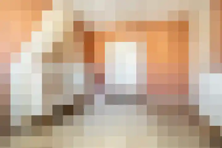 Vuurvlinder 16 Breda thumbnail 24