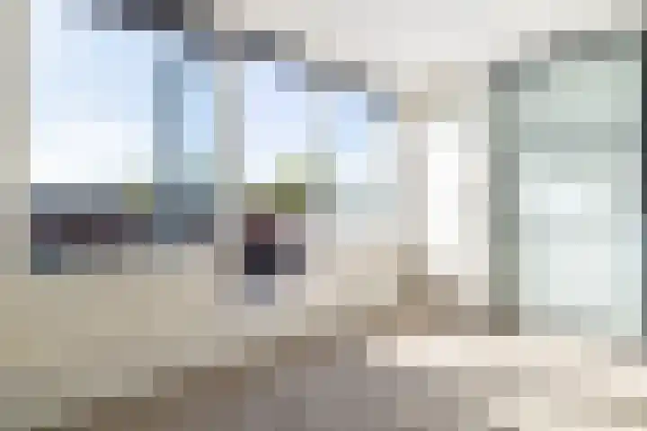 Vuurvlinder 16 Breda thumbnail 27