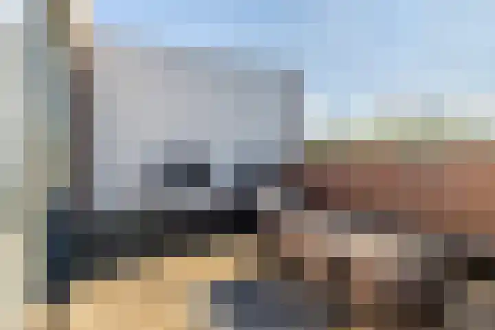Vuurvlinder 16 Breda thumbnail 29