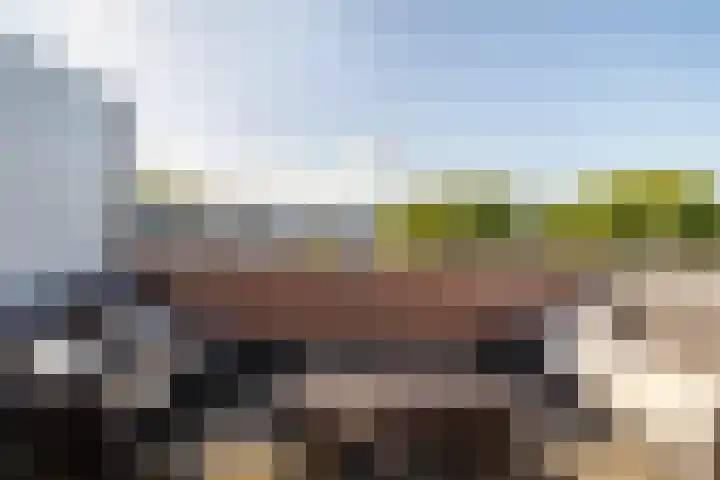 Vuurvlinder 16 Breda thumbnail 30
