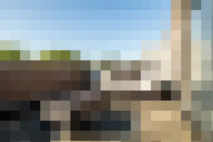 Vuurvlinder 16 Breda thumbnail 31