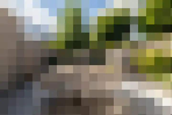 Vuurvlinder 16 Breda thumbnail 33