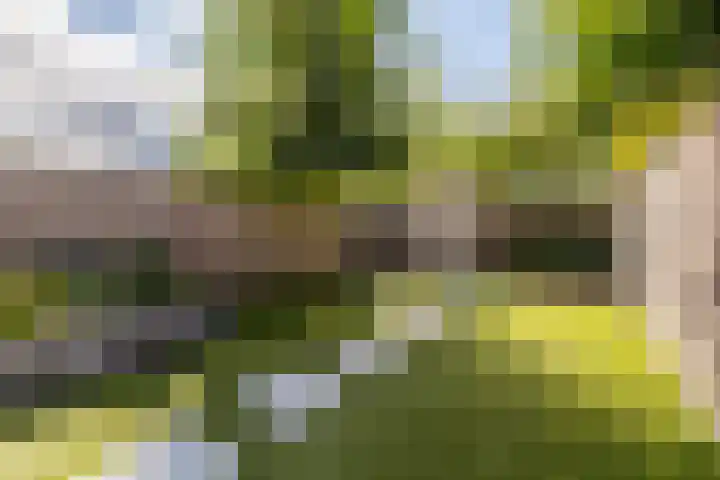 Vuurvlinder 16 Breda thumbnail 34