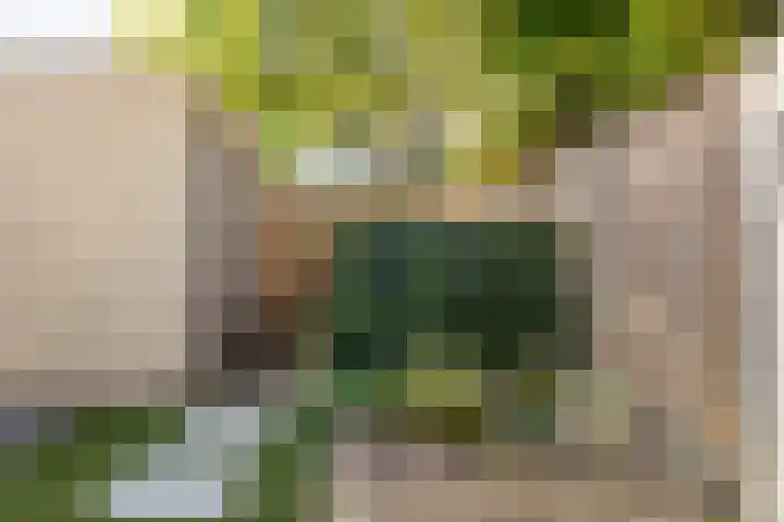Vuurvlinder 16 Breda thumbnail 35