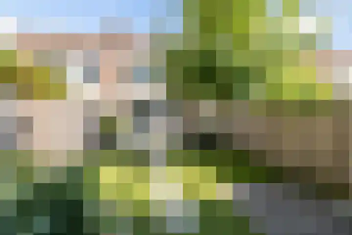 Vuurvlinder 16 Breda thumbnail 36