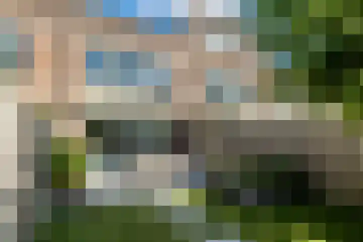 Vuurvlinder 16 Breda thumbnail 37