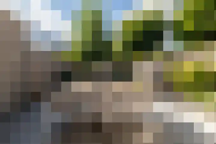 Vuurvlinder 16 Breda thumbnail 4