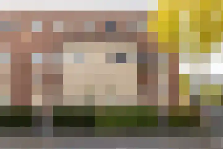 Vuurvlinder 16 Breda thumbnail 5