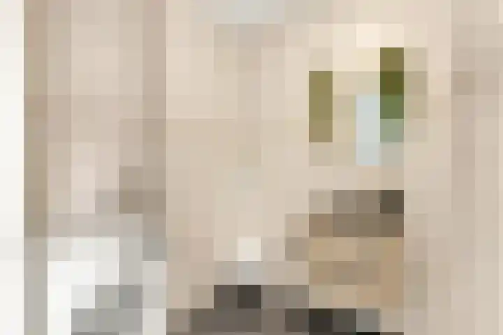 Vuurvlinder 17 Nijkerk thumbnail 19