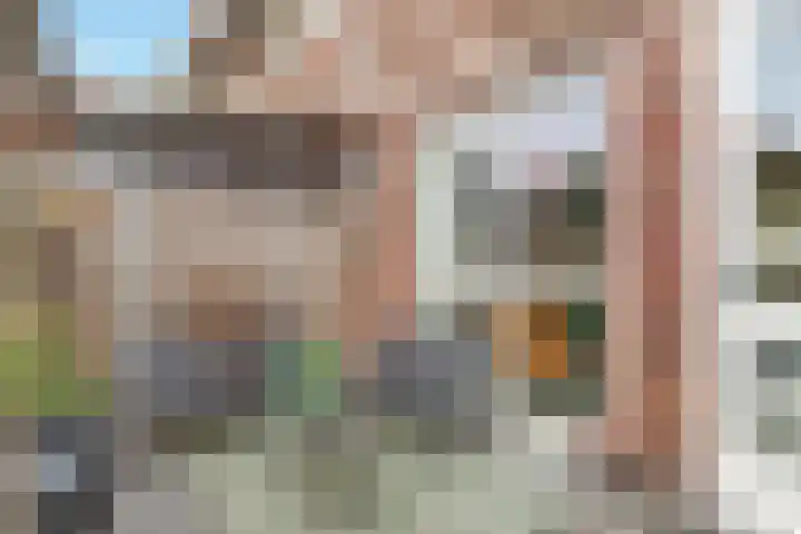 Vuurvlinder 17 Nijkerk thumbnail 23