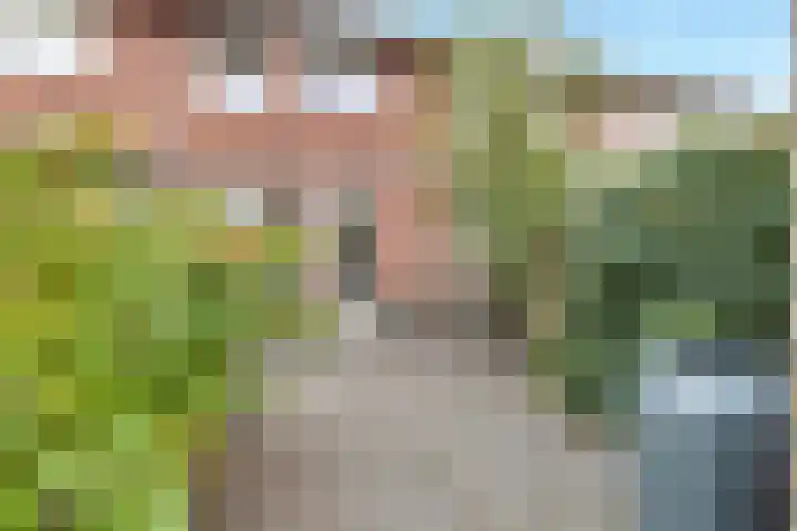 Vuurvlinder 17 Nijkerk thumbnail 24