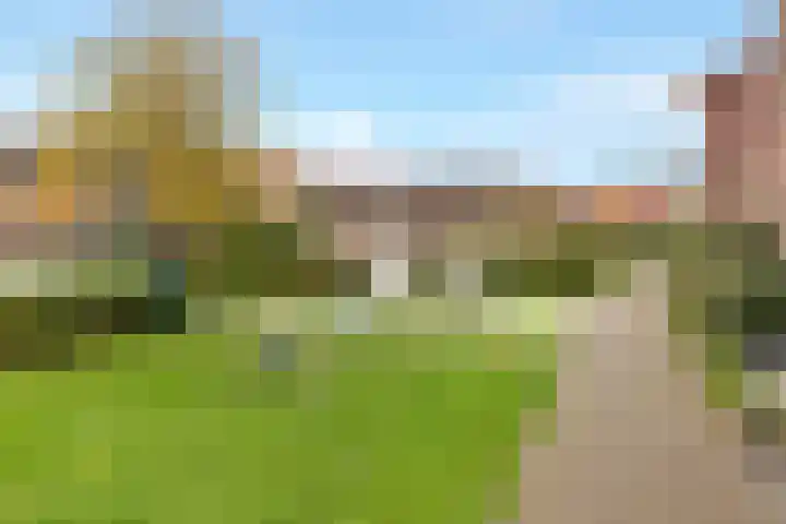 Vuurvlinder 17 Nijkerk thumbnail 25