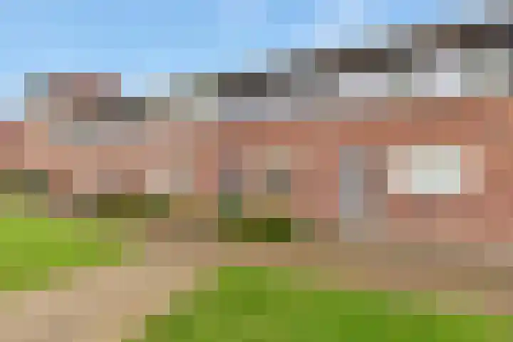Vuurvlinder 17 Nijkerk thumbnail 26