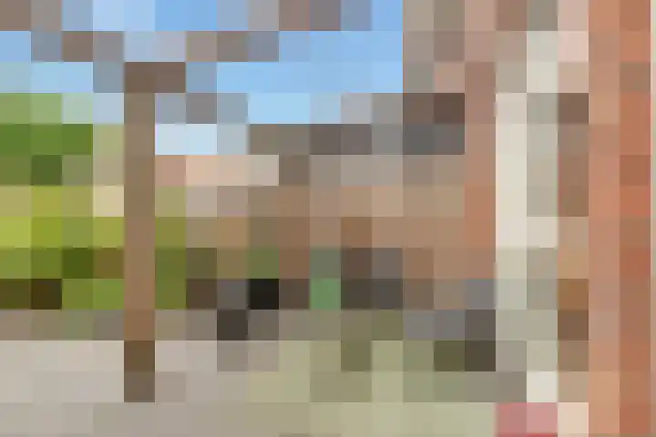 Vuurvlinder 17 Nijkerk thumbnail 4