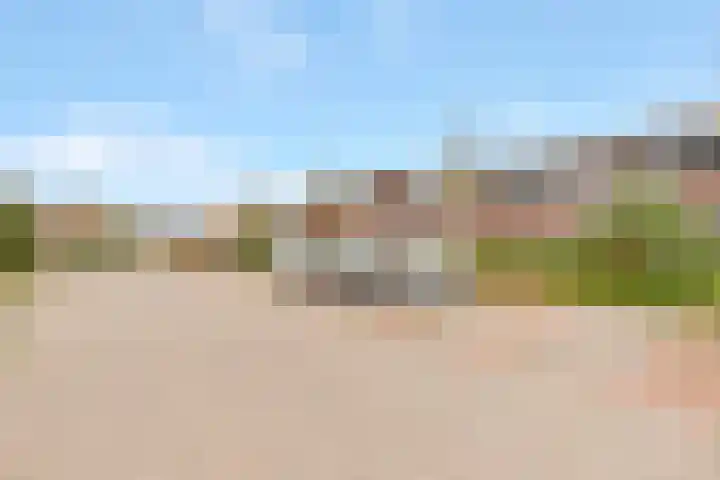 Vuurvlinder 17 Nijkerk thumbnail 5
