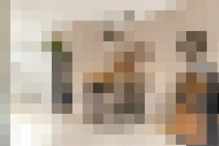 Vuurvlinder 17 Nijkerk thumbnail 9