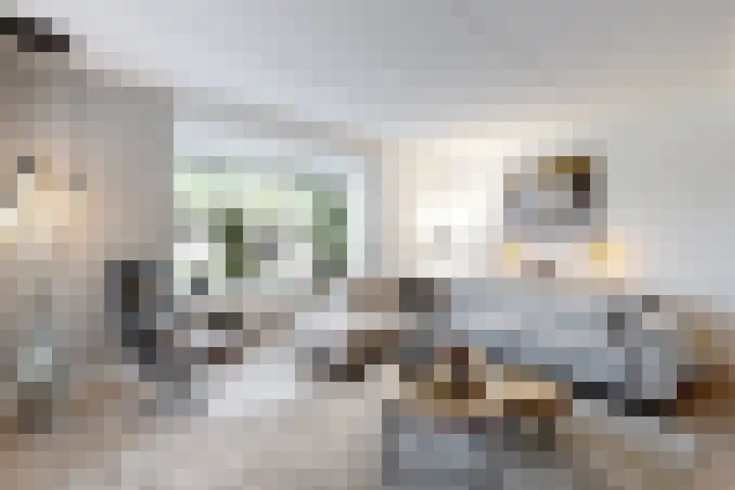 Vuurvlinder 17 Standdaarbuiten thumbnail 12