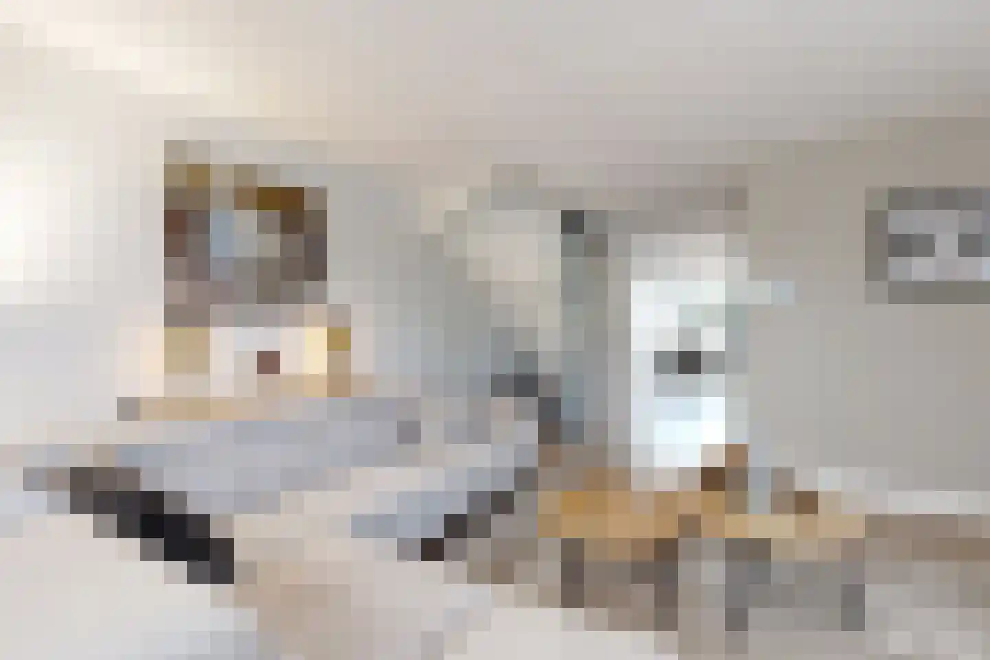 Vuurvlinder 17 Standdaarbuiten thumbnail 14