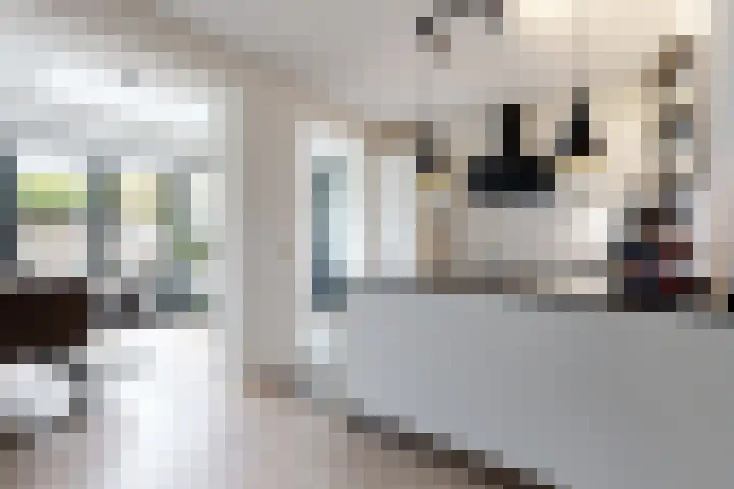 Vuurvlinder 17 Standdaarbuiten thumbnail 21