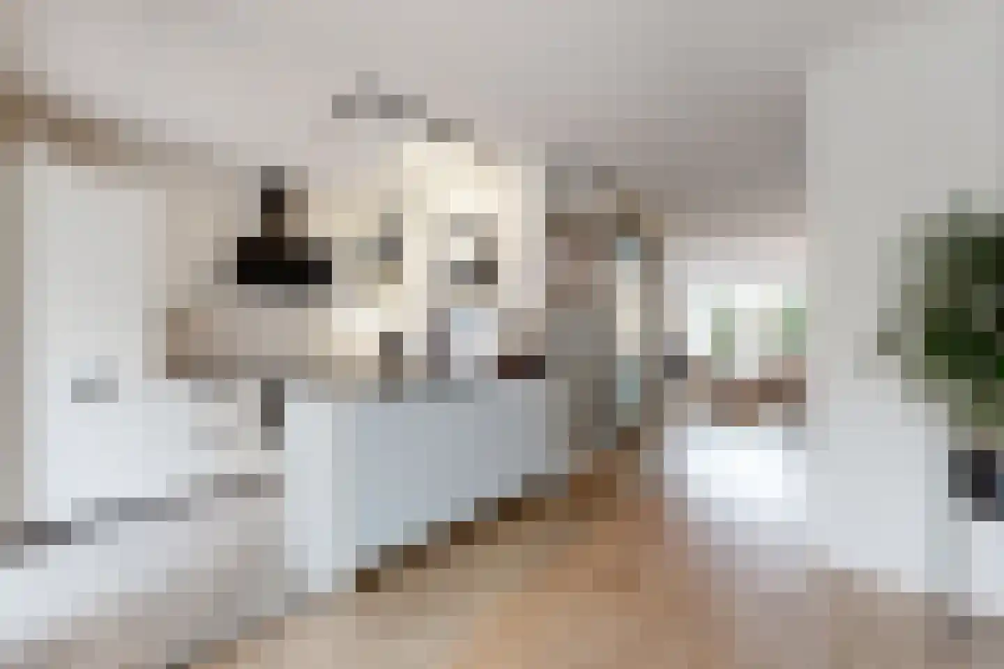 Vuurvlinder 17 Standdaarbuiten thumbnail 22