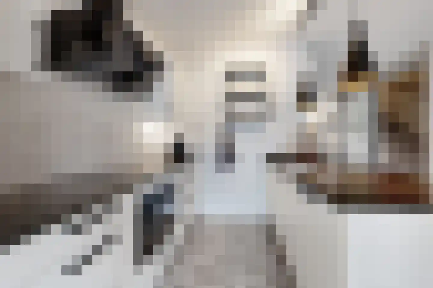 Vuurvlinder 17 Standdaarbuiten thumbnail 24
