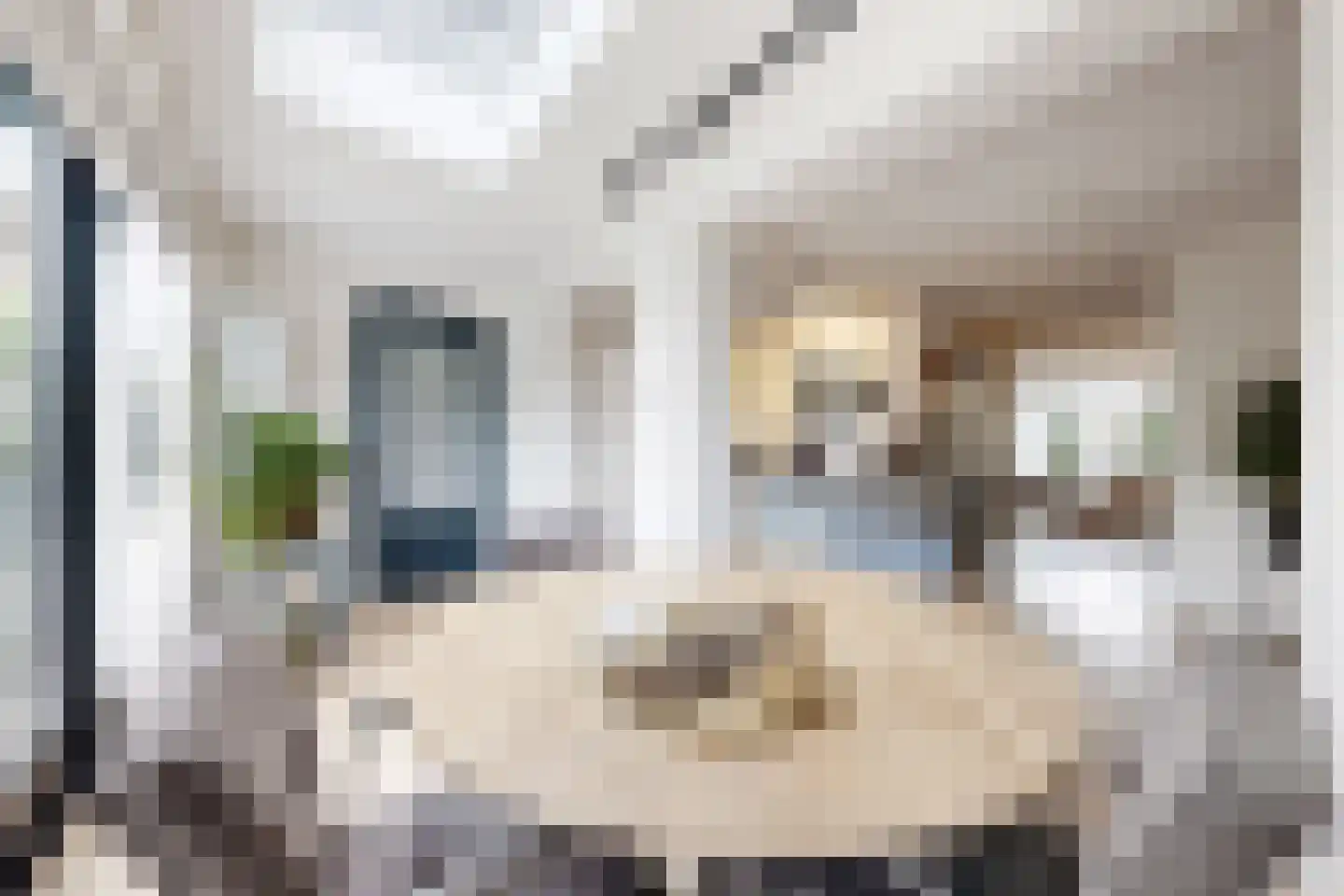 Vuurvlinder 17 Standdaarbuiten thumbnail 31