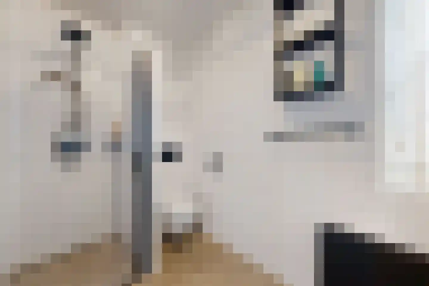 Vuurvlinder 17 Standdaarbuiten thumbnail 53