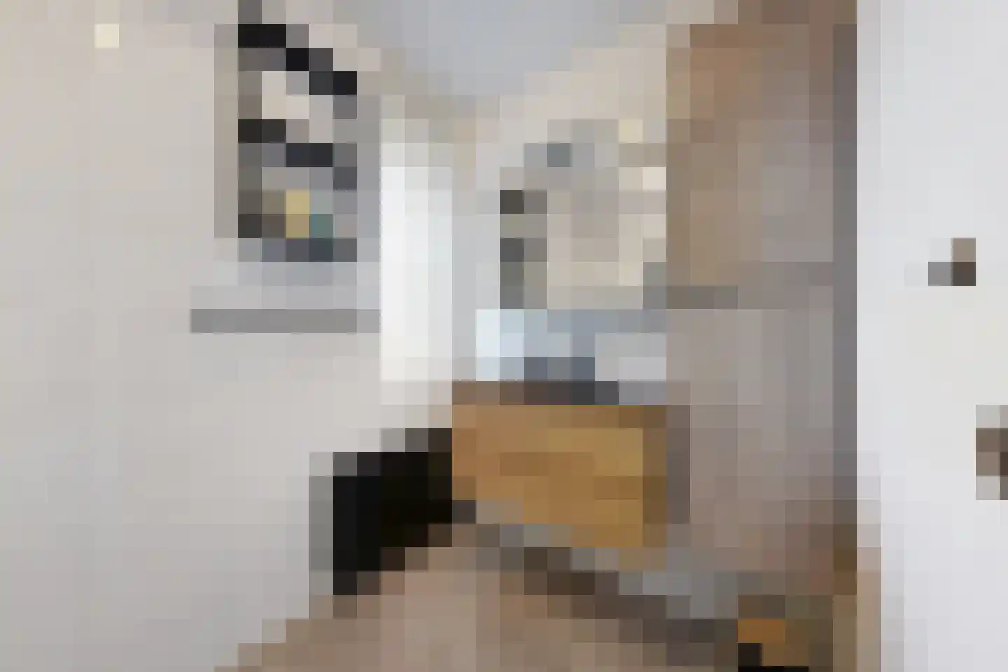 Vuurvlinder 17 Standdaarbuiten thumbnail 55