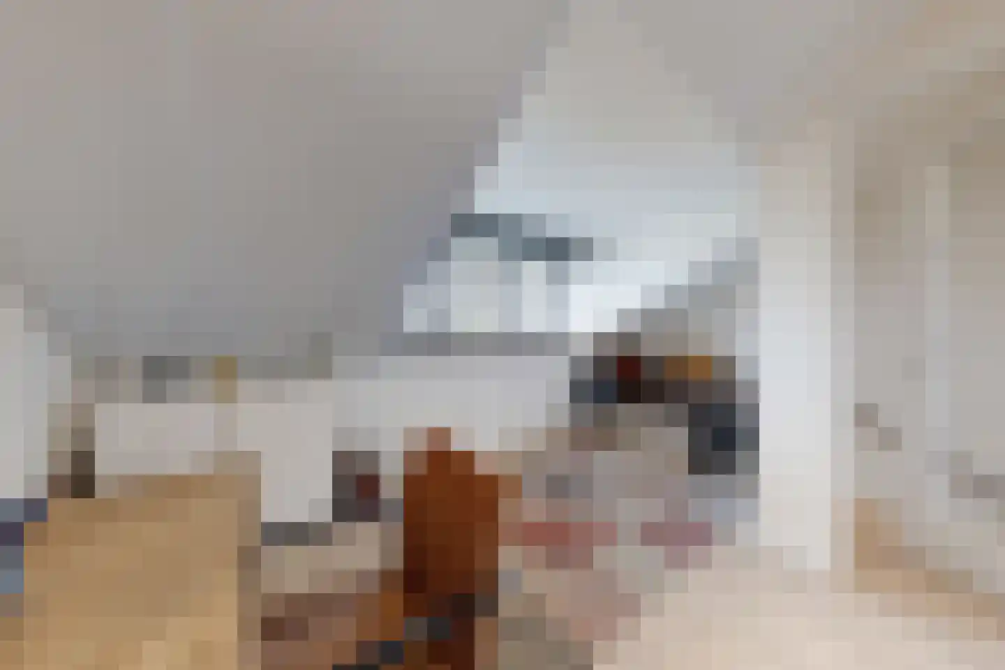 Vuurvlinder 17 Standdaarbuiten thumbnail 6