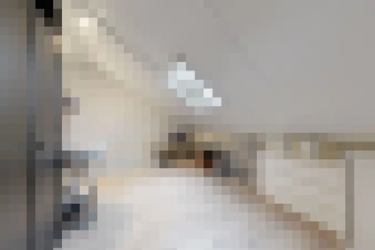 Vuurvlinder 17 Standdaarbuiten thumbnail 61