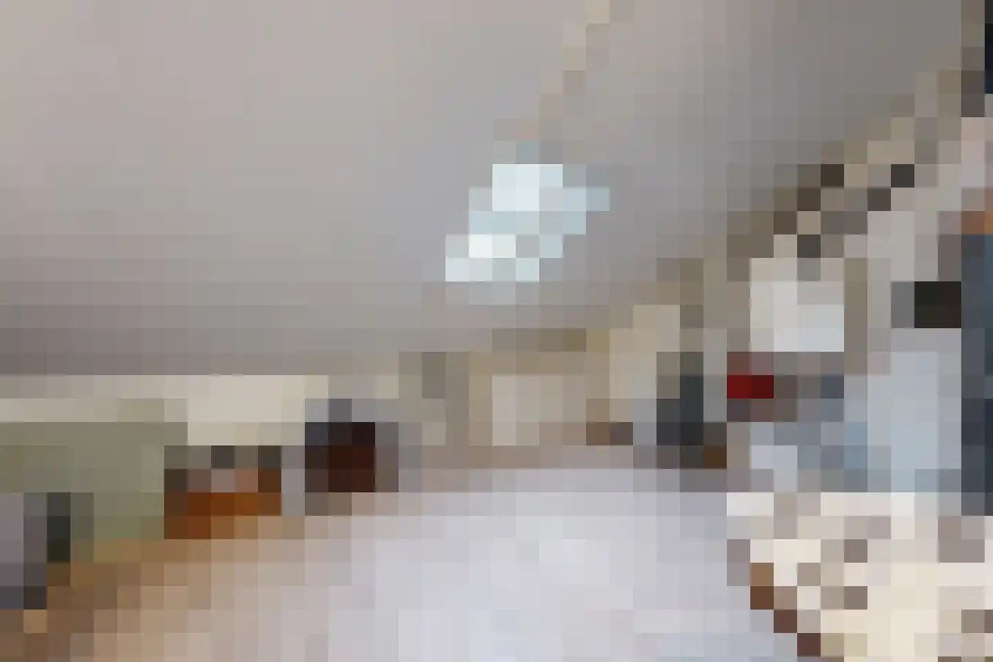 Vuurvlinder 17 Standdaarbuiten thumbnail 62