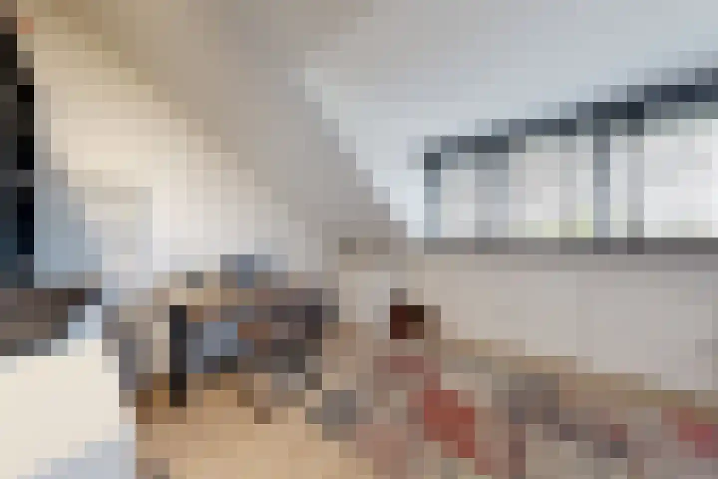 Vuurvlinder 17 Standdaarbuiten thumbnail 63