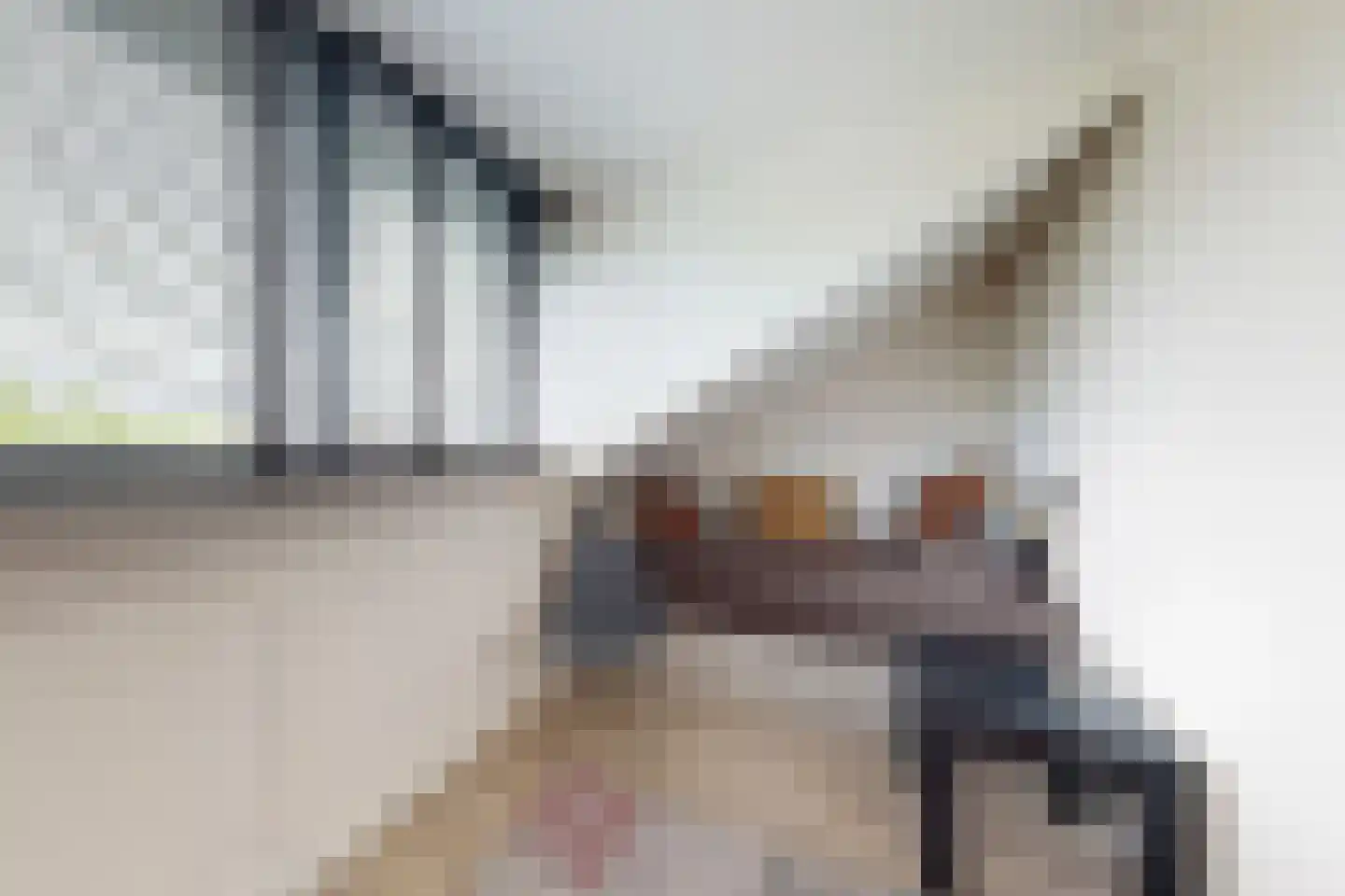 Vuurvlinder 17 Standdaarbuiten thumbnail 67