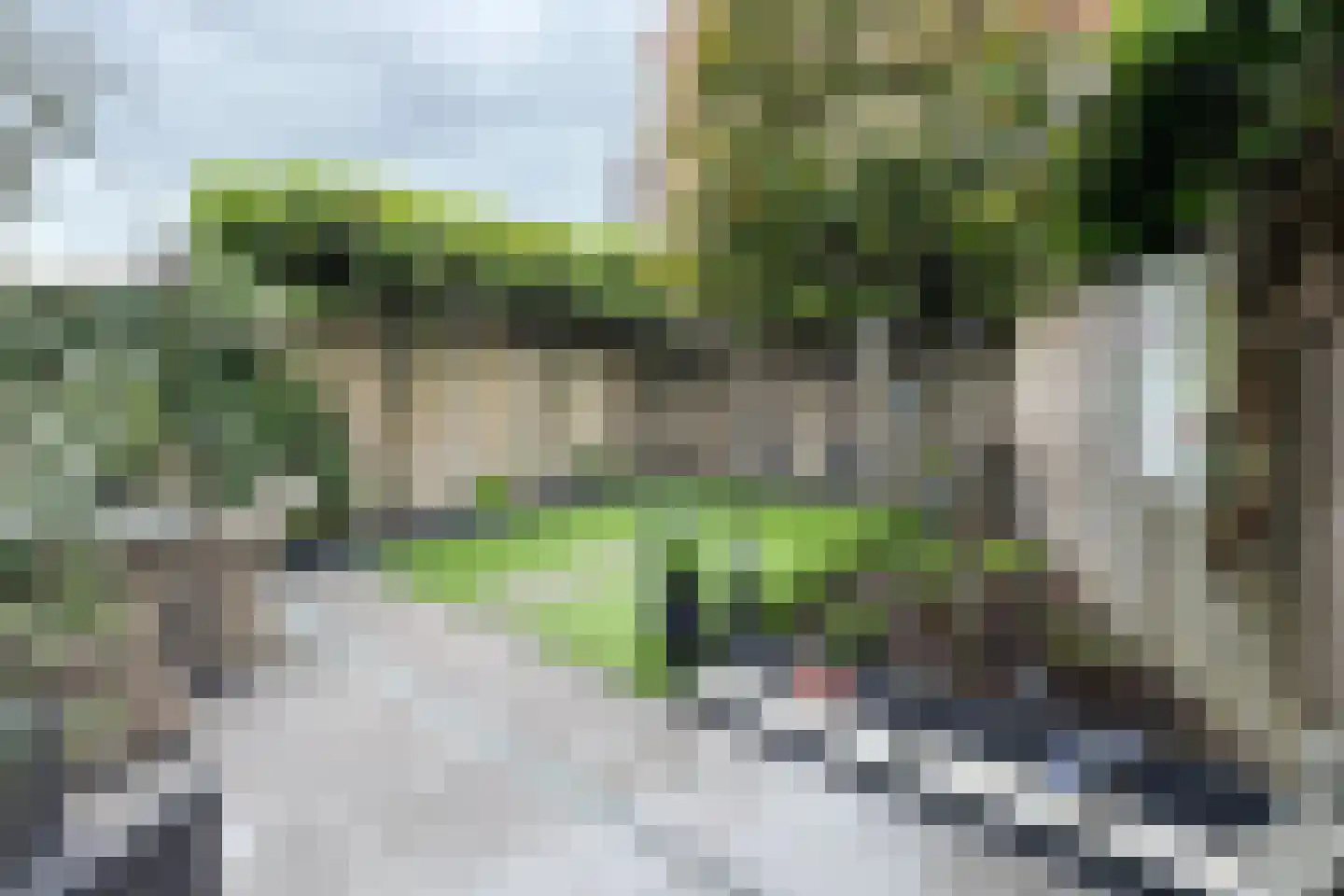 Vuurvlinder 17 Standdaarbuiten thumbnail 71