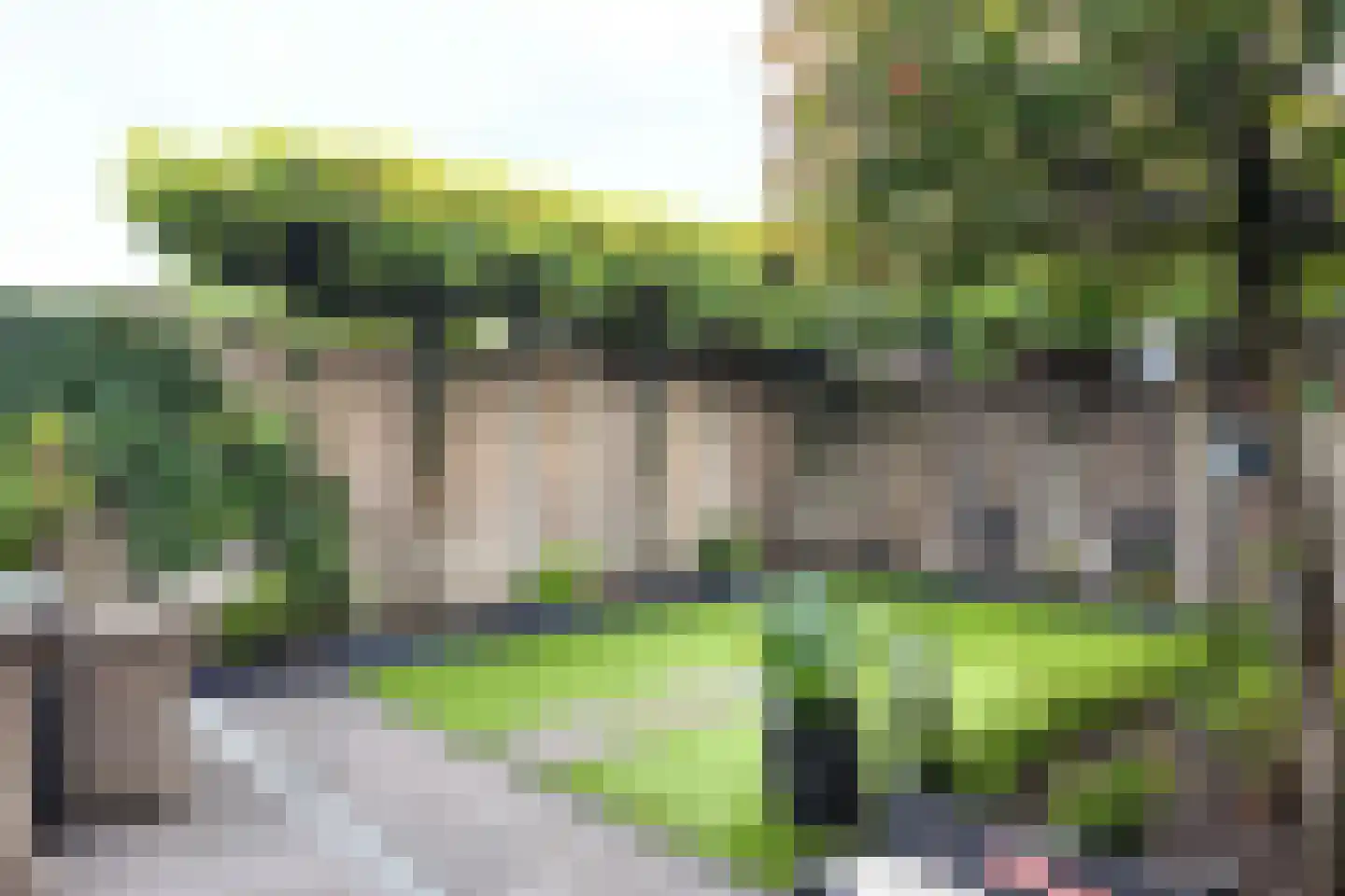 Vuurvlinder 17 Standdaarbuiten thumbnail 72