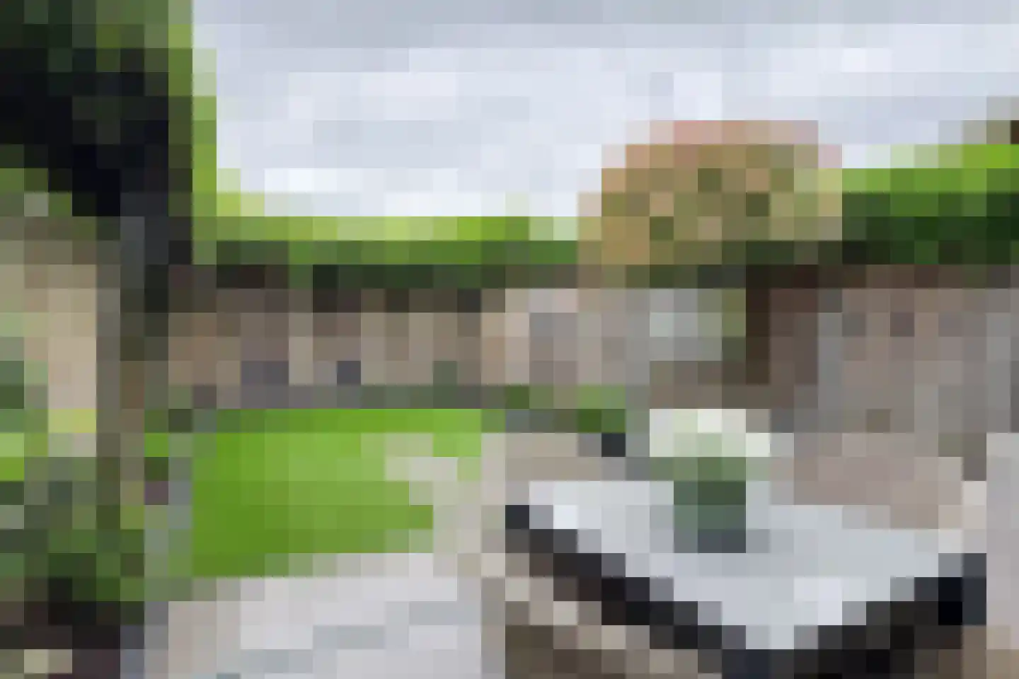 Vuurvlinder 17 Standdaarbuiten thumbnail 73