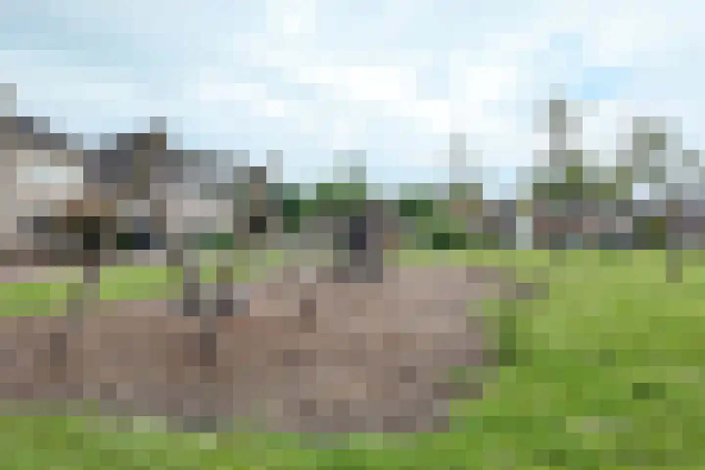 Vuurvlinder 17 Standdaarbuiten thumbnail 85