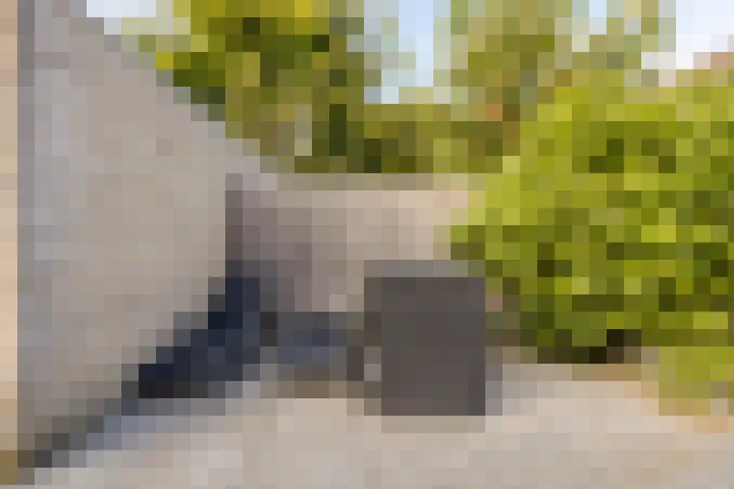 Vuurvlinder 18 Breda thumbnail 14